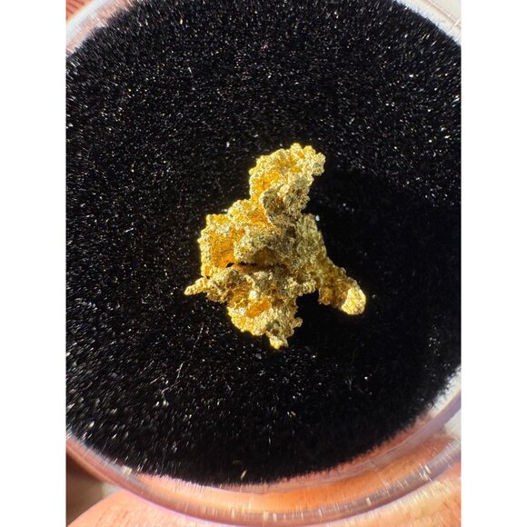 California Native Gold Crystal - 0.39 grams - Picture 6 of 6